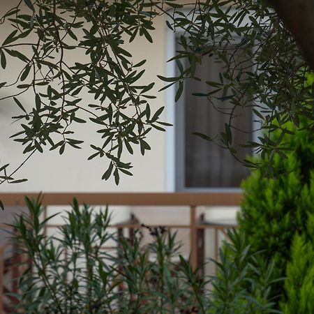 Ξενώνας Άδωνις Káto Loutrákion Εξωτερικό φωτογραφία