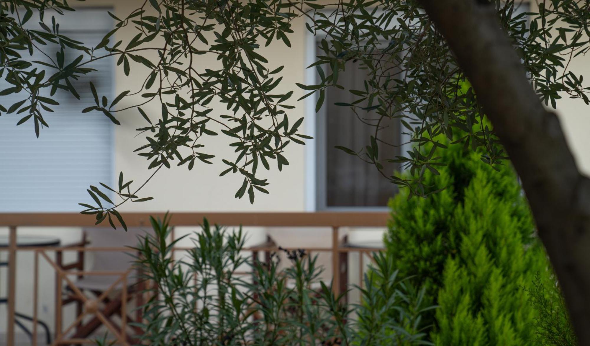 Ξενώνας Άδωνις Káto Loutrákion Εξωτερικό φωτογραφία