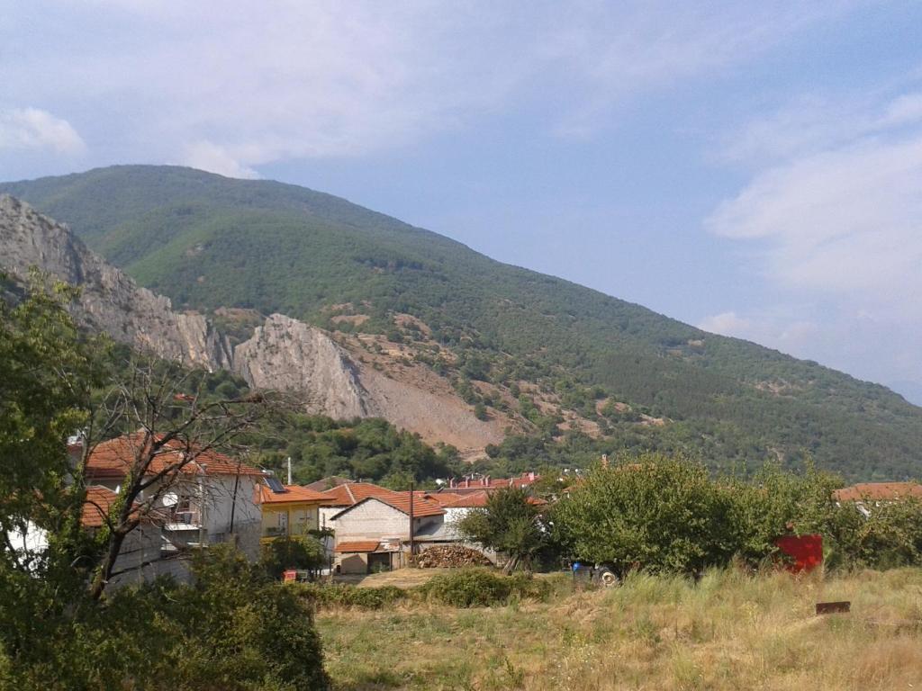 Ξενώνας Άδωνις Káto Loutrákion Εξωτερικό φωτογραφία